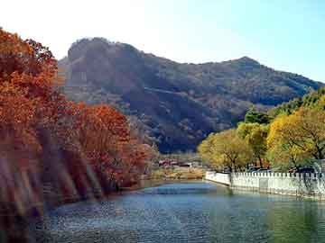 新澳门二四六天天彩，上海冬虫夏草回收